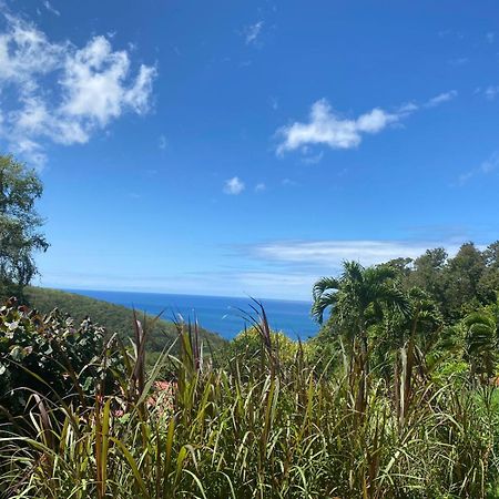 Le Domaine Du Rocher Noir Pointe-Noire Buitenkant foto