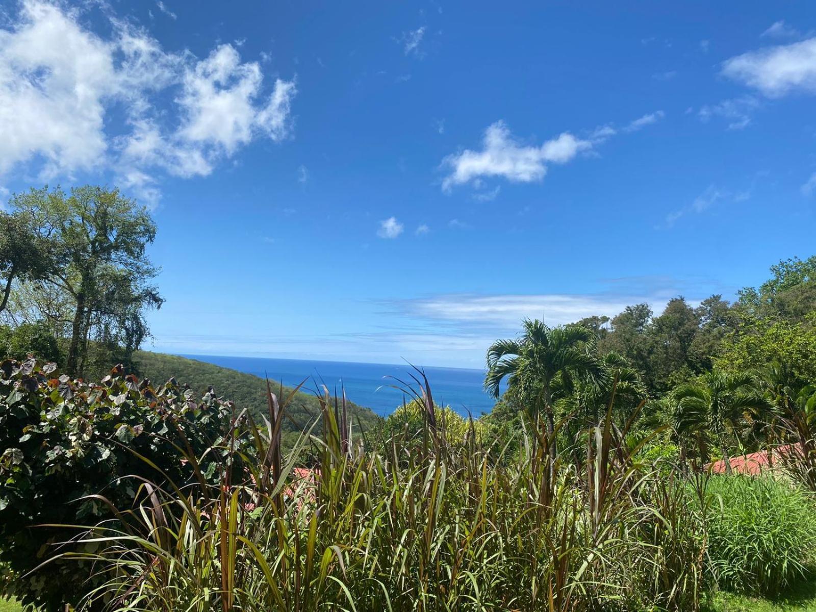 Le Domaine Du Rocher Noir Pointe-Noire Buitenkant foto